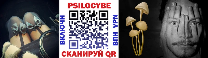 Псилоцибиновые грибы мухоморы  блэк спрут маркетплейс  Острогожск  хочу  